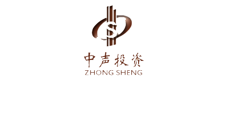 中聲投資（上海）有限公司