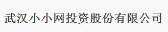 武漢小小網投資股份有限公司